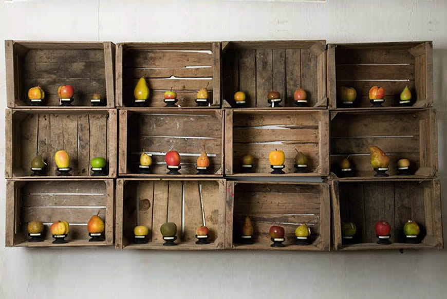 Davide Furno<span>laboratorio, Salita di Riva, 6 - Biella (BI)</span>